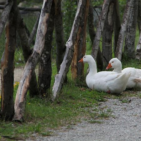 Albergo Lago Verde Pennabilli Buitenkant foto