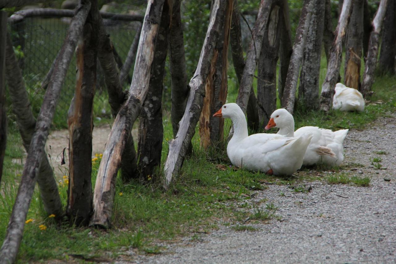 Albergo Lago Verde Pennabilli Buitenkant foto